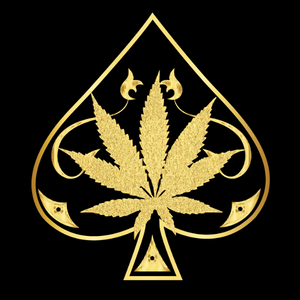 aceultrapremiumuk.co.uk
